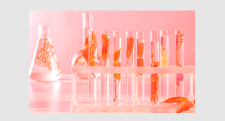 草本植物活性物质提取